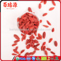 Super food goji berry dried vegetarian food goji